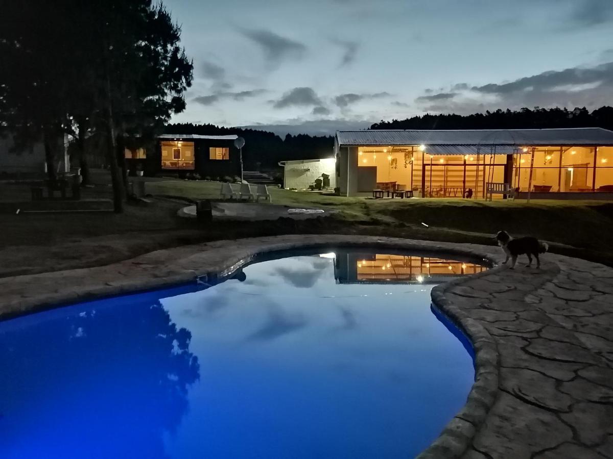 Dargle Forest Lodge Exteriér fotografie
