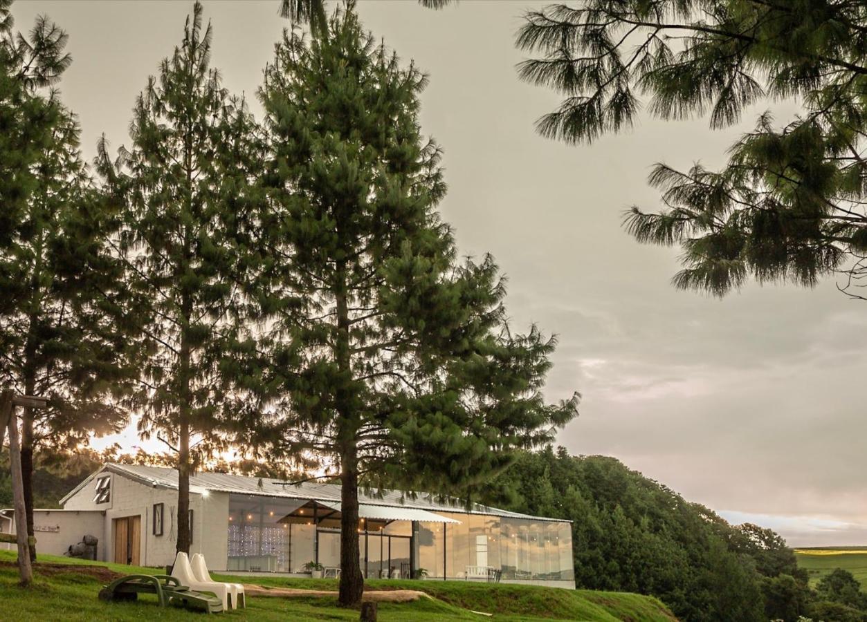 Dargle Forest Lodge Exteriér fotografie