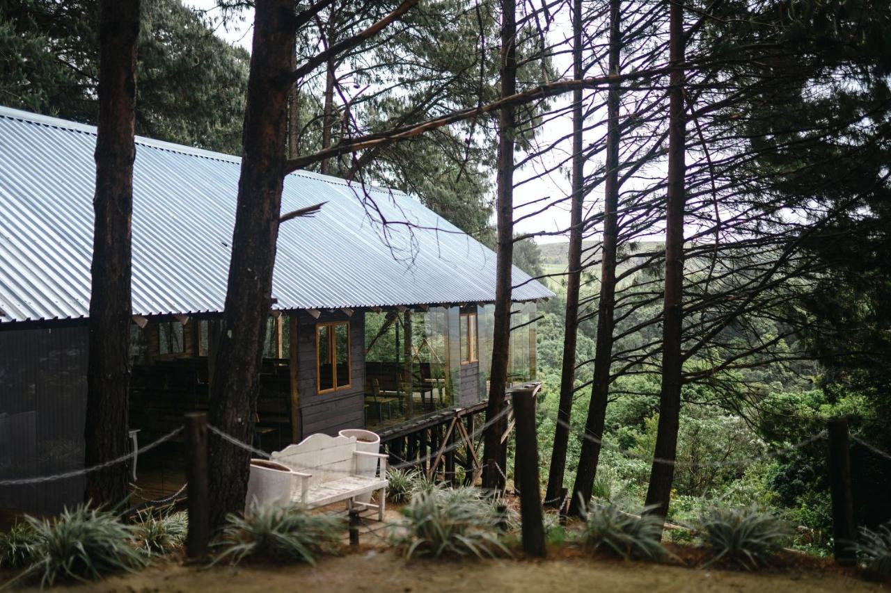 Dargle Forest Lodge Exteriér fotografie