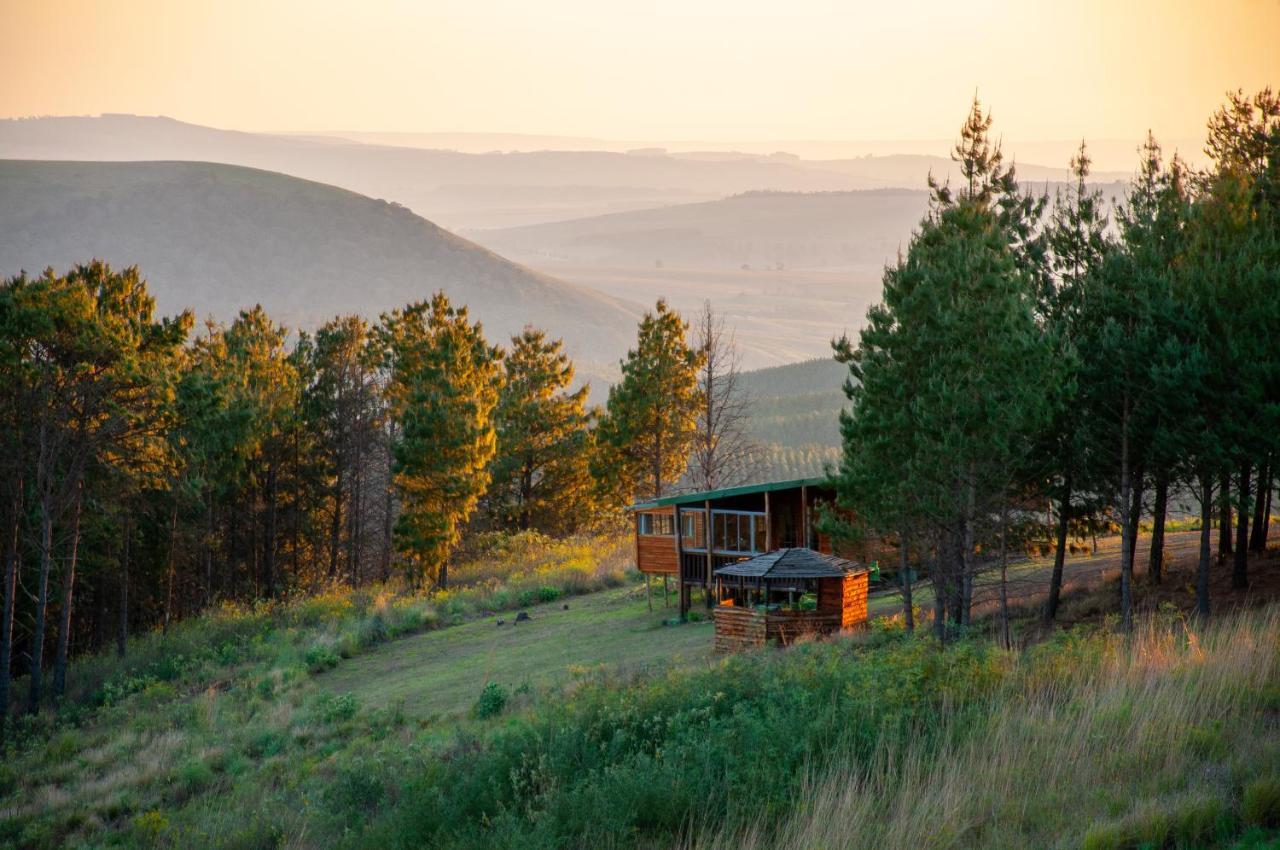 Dargle Forest Lodge Exteriér fotografie